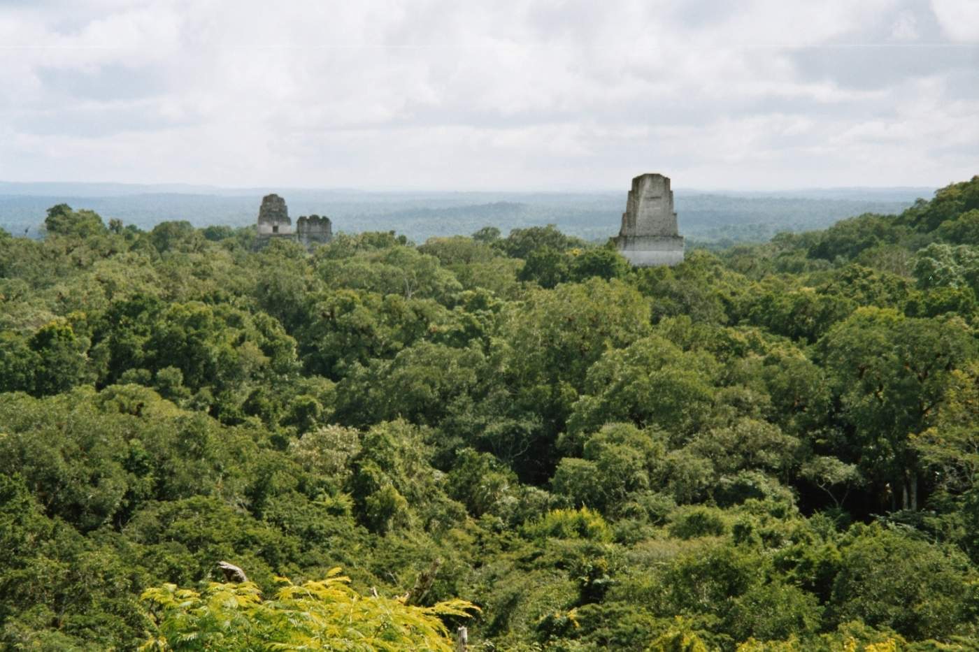 Weite Grünlandschaft mit Mayatempel in Mittelamerika