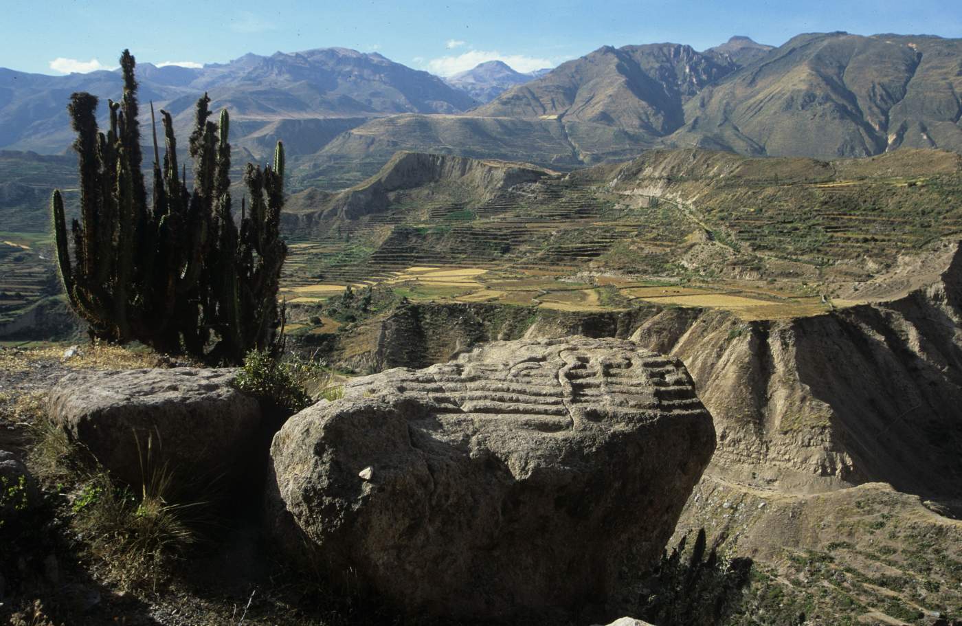 Colca Canyon Arequipa Peru