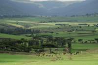 Äthiopien Kleingruppenreise - Wanderung im Simien-Gebirge
