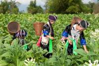 Gruppenreise Laos und Kambodscha - Von Luang Prabang bis Sihanouk Ville