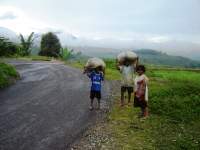Indonesien Motorradreise - Flores Sunda Inseln 