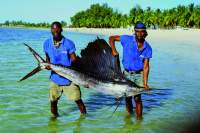 Gruppenreise Kenia, Tansania, Malawi, Sambia, Simbabwe  - Ostafrika Abenteuer - Camping oder Lodge Safari