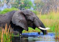 Gruppenreise durch Afrika - Johannesburg nach Nairobi - Camping oder Lodge Safari