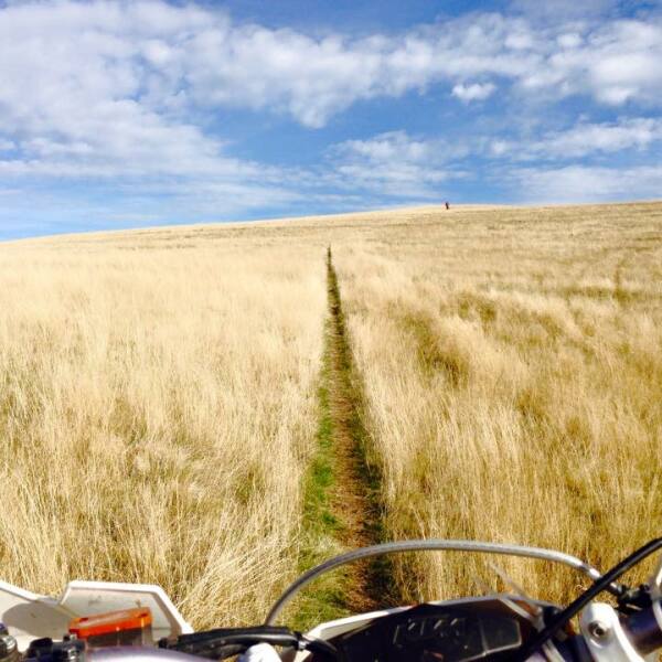 Motorradreisen Ukraine Lwiw bedeutende Architektur Kaffee Bierkultur