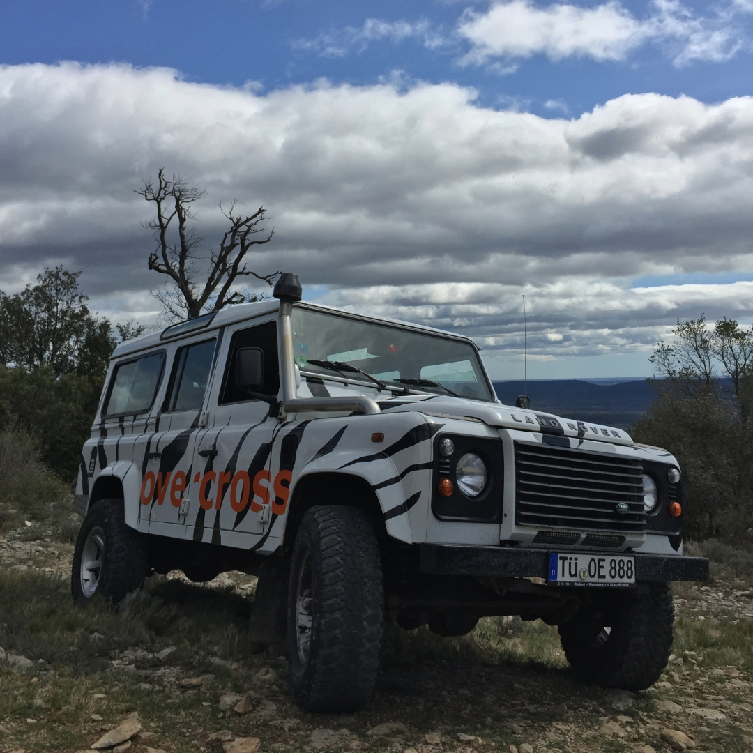 Geländewagen im Zebra-Design unter bewölktem Himmel in unwegsamem Gelände.
