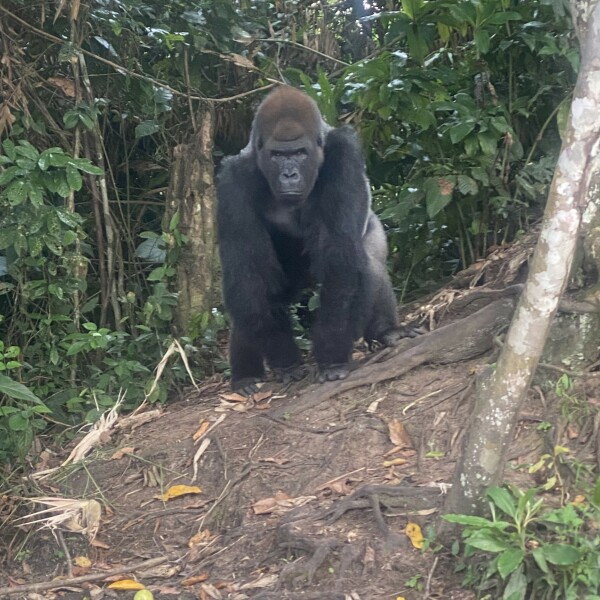 Offroad-Reisen Afrika Expedition Charme Dakar 