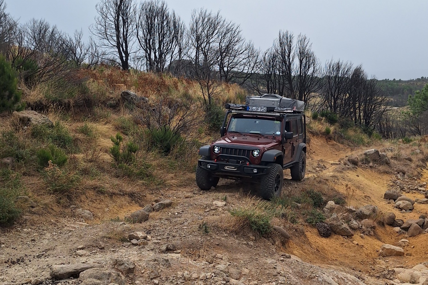 Mit dem Jeep über Stock und Stein