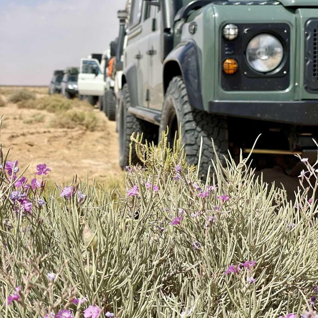 Offroad-Reisen Tunesien Abschied Bergstadt Hotel