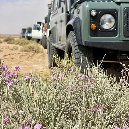 Férias todo-o-terreno na Tunísia: viver a aventura no deserto