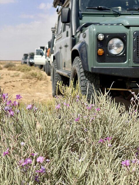 Tunesien 4x4 Offroad: Sahara-Wüstentouren mit Overcross