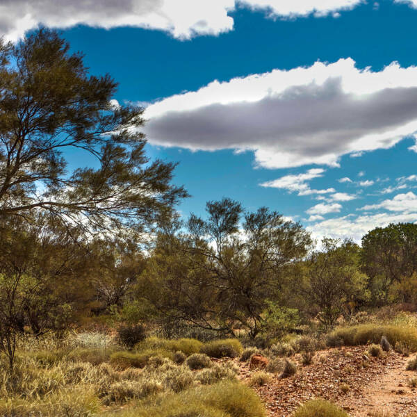 Offroad-Reisen Australien Heimreise Erinnerungen Rückflug