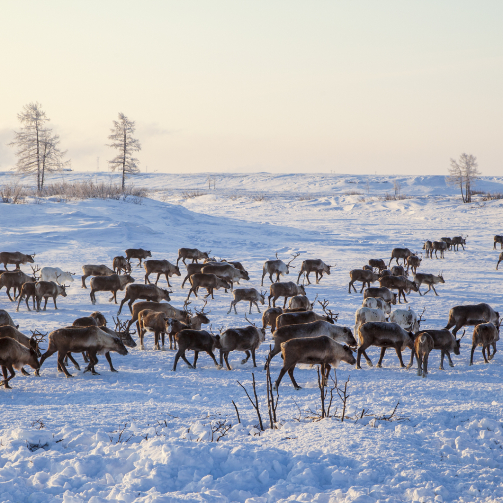 Offroad-Reisen Norwegen Anreise Abendessen Briefing