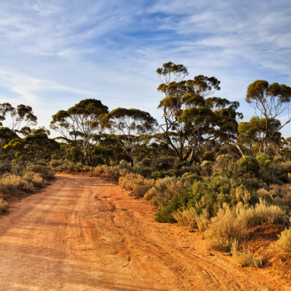 Erlebnis-Reisen Australien Wanderung Aussichtspunkt Sonnenuntergang