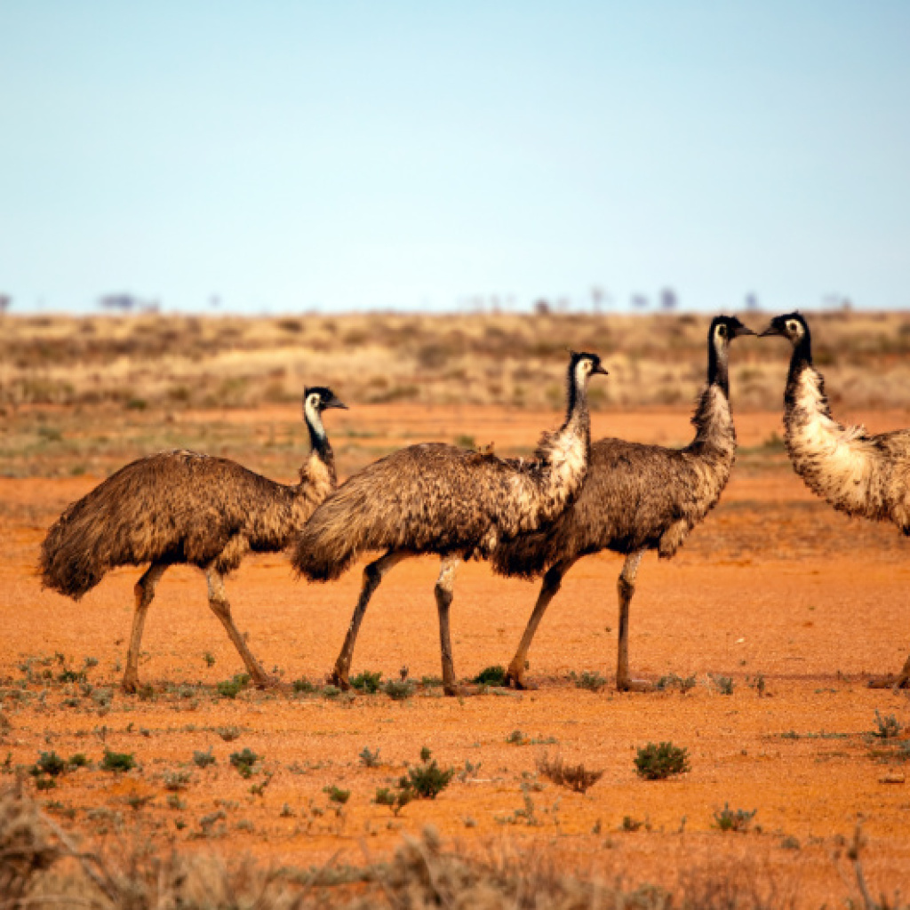 Offroad-Reisen Australien Flug Perth Tag