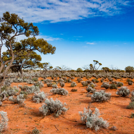 Australia