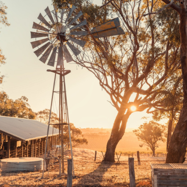 Offroad-Reisen Australien Halls Creek Abenteuer Goldgräberstadt