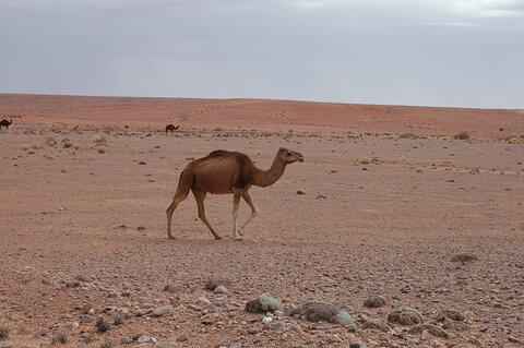 Viagens de Moto em Marrocos