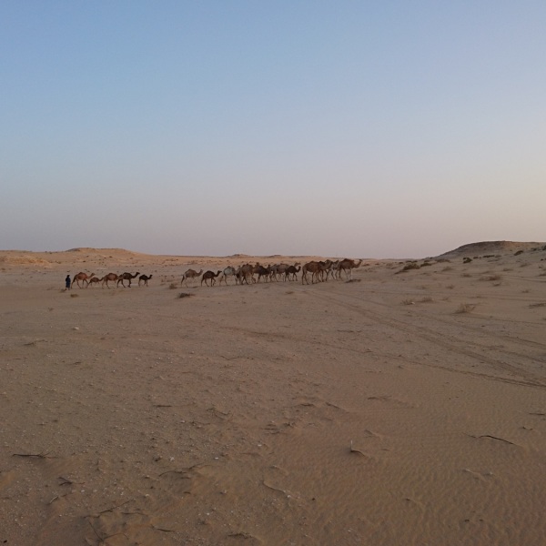 Motorradreisen Frankreich Grenzübertritt Volgelschutznationalpark Saint-Louis