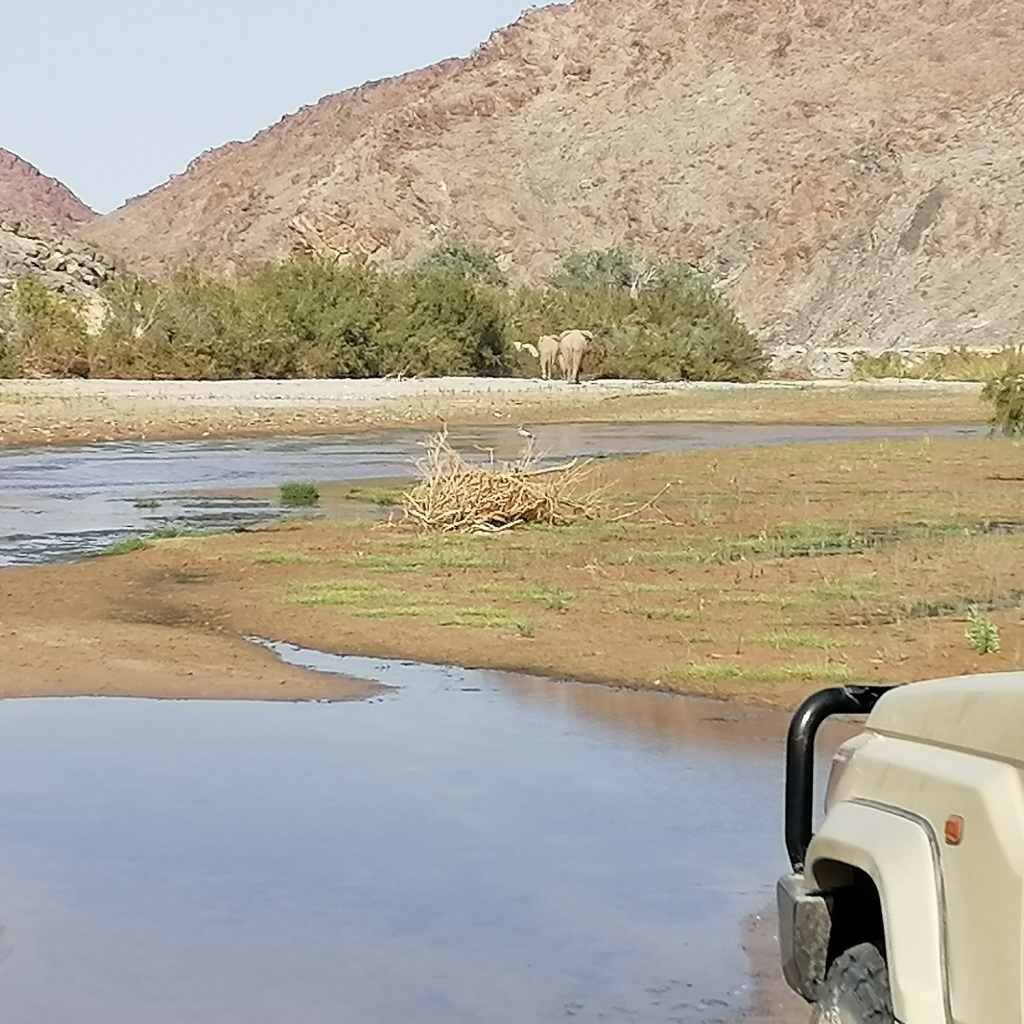 Offroad-Reisen Botswana Krokodile Ghanzi Zelten