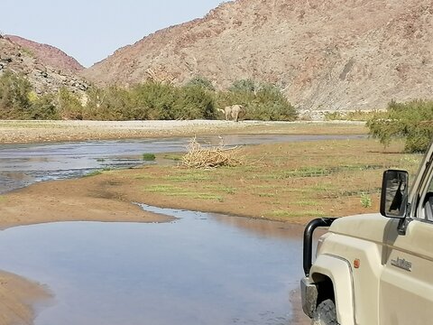 Namibia Selbstfahrer Safari: Wüste, Etosha und Dachzelt