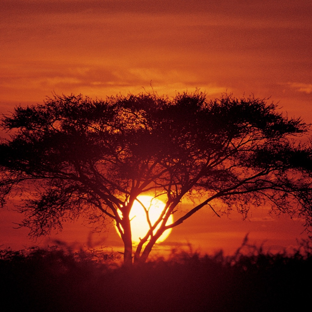 Offroad-Reisen Botswana Caprivizipfel Elefantenherden Zambesi
