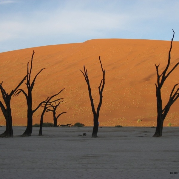 Offroad-Reisen Namibia Waterberg Plateau Vegetation Geschichte