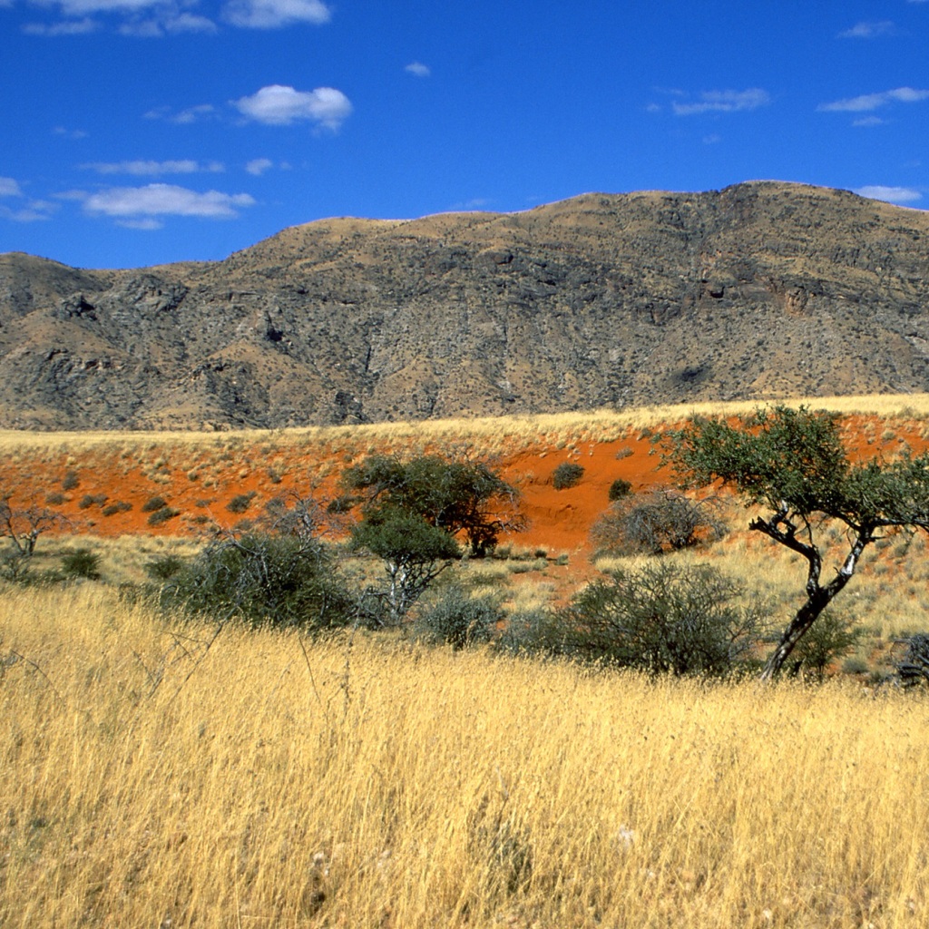 Erlebnis-Reisen Afrika
