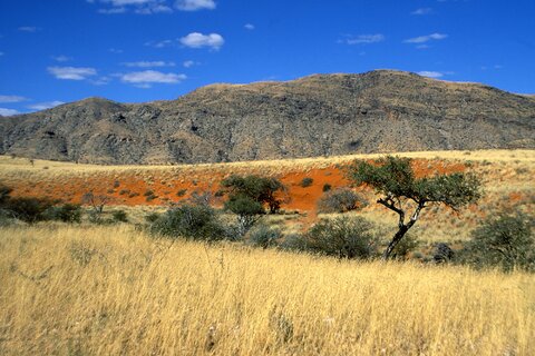 Namibia Selbstfahrer Safari: Wüste, Etosha und Dachzelt