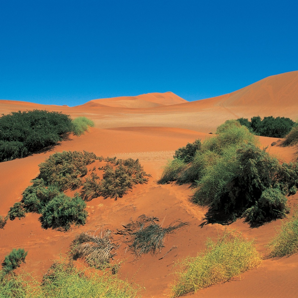 Erlebnis-Reisen Afrika