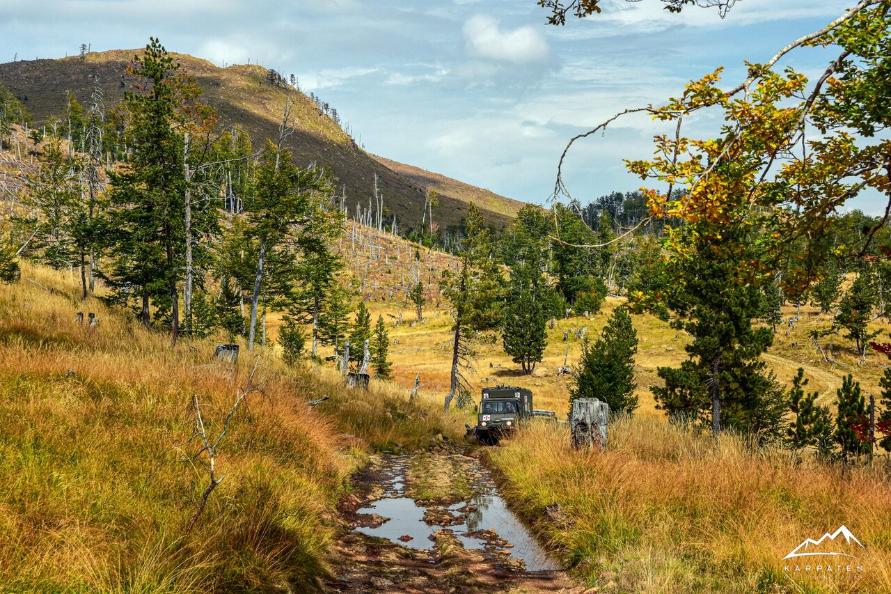 Ein olivfarbenes Geländefahrzeug im Ambulanzstil auf einem Grasweg durch herbstliche Hügel