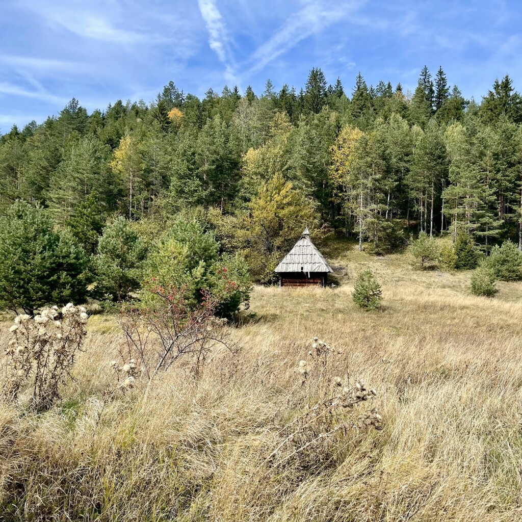 Offroad-Reisen Balkan Sutjeska Wald Camping