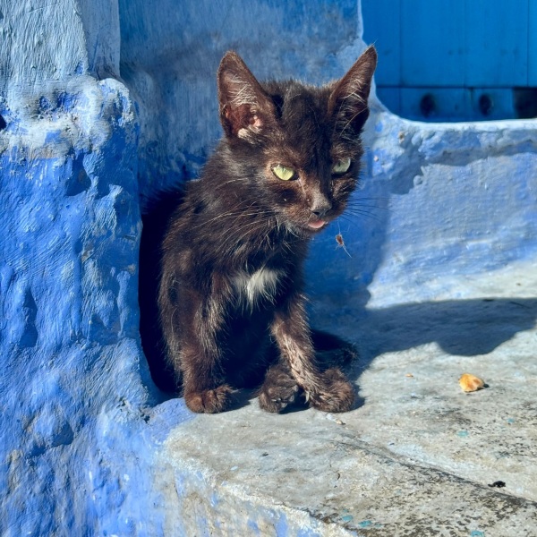 Motorradreisen Marokko Dünenmeer Offroad Schluchten