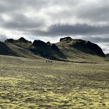 Island
