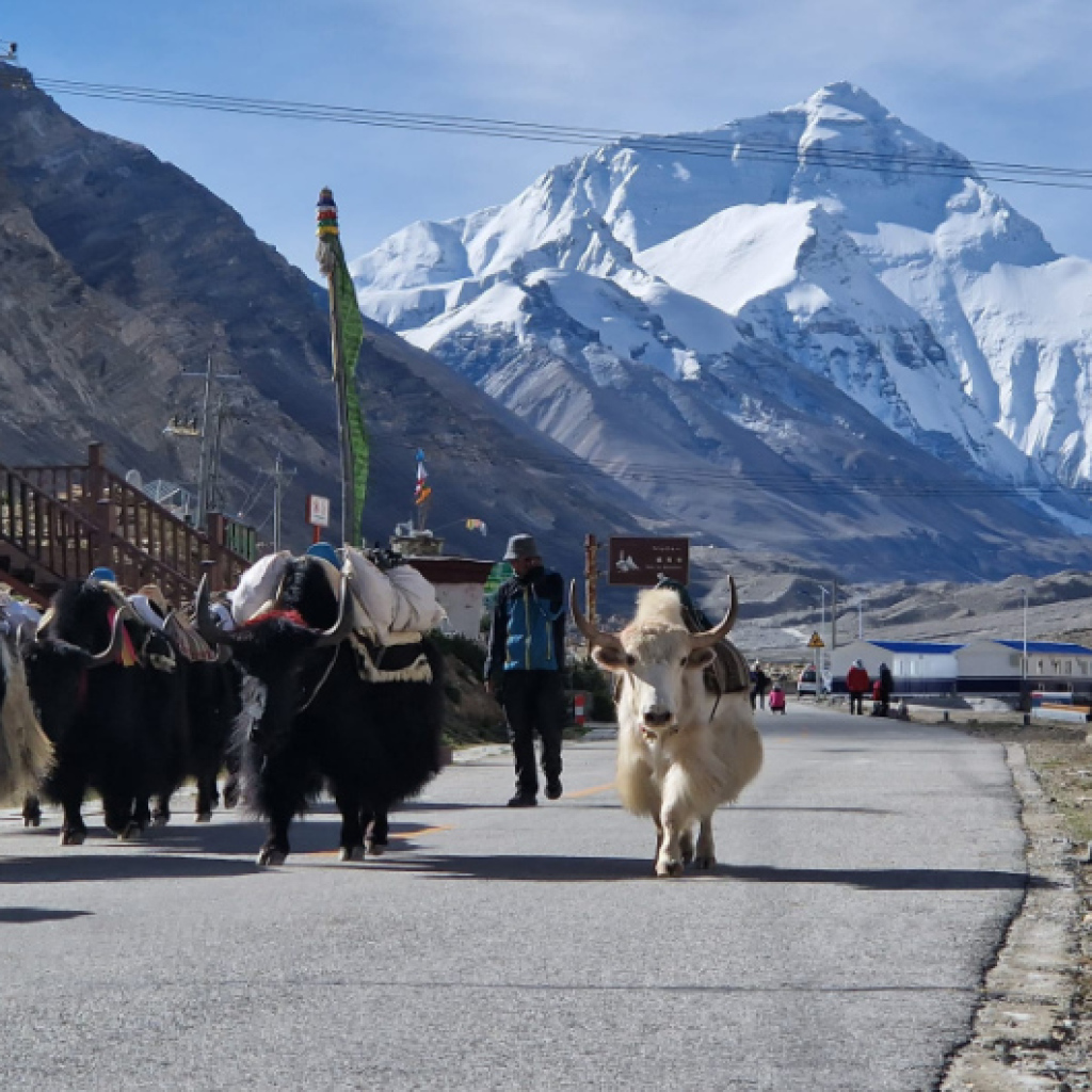 Offroad-Reisen Asien Tibet Highway Provinz