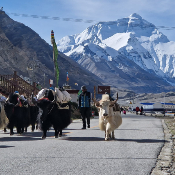 Offroad-Reisen Asien Tibet Highway Provinz
