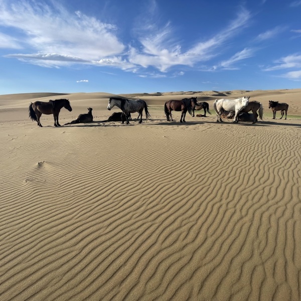 Offroad-Reisen Mongolei Glühende Felsen Gurvansaikhan-Nationalpark Gebirges