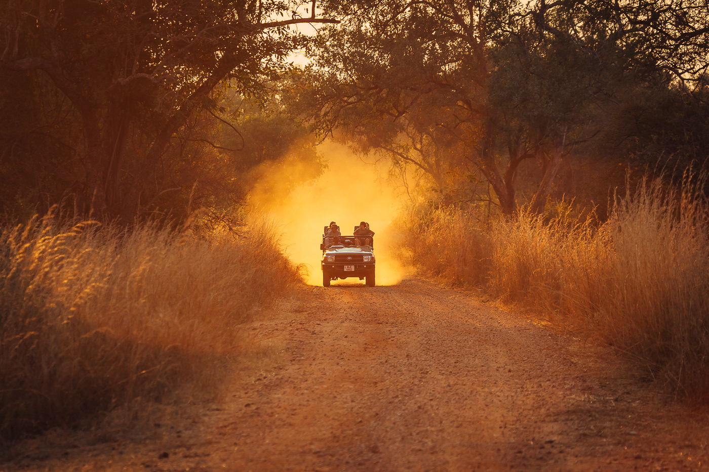 Gamedrive Safari währen unseren Geländewagentouren in Afrika