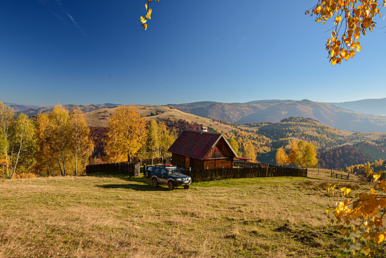 Ein dunkler 4x4 SUV mit Kajak auf dem Dach parkt vor einer Holzhütte zwischen goldenen Herbstbirken