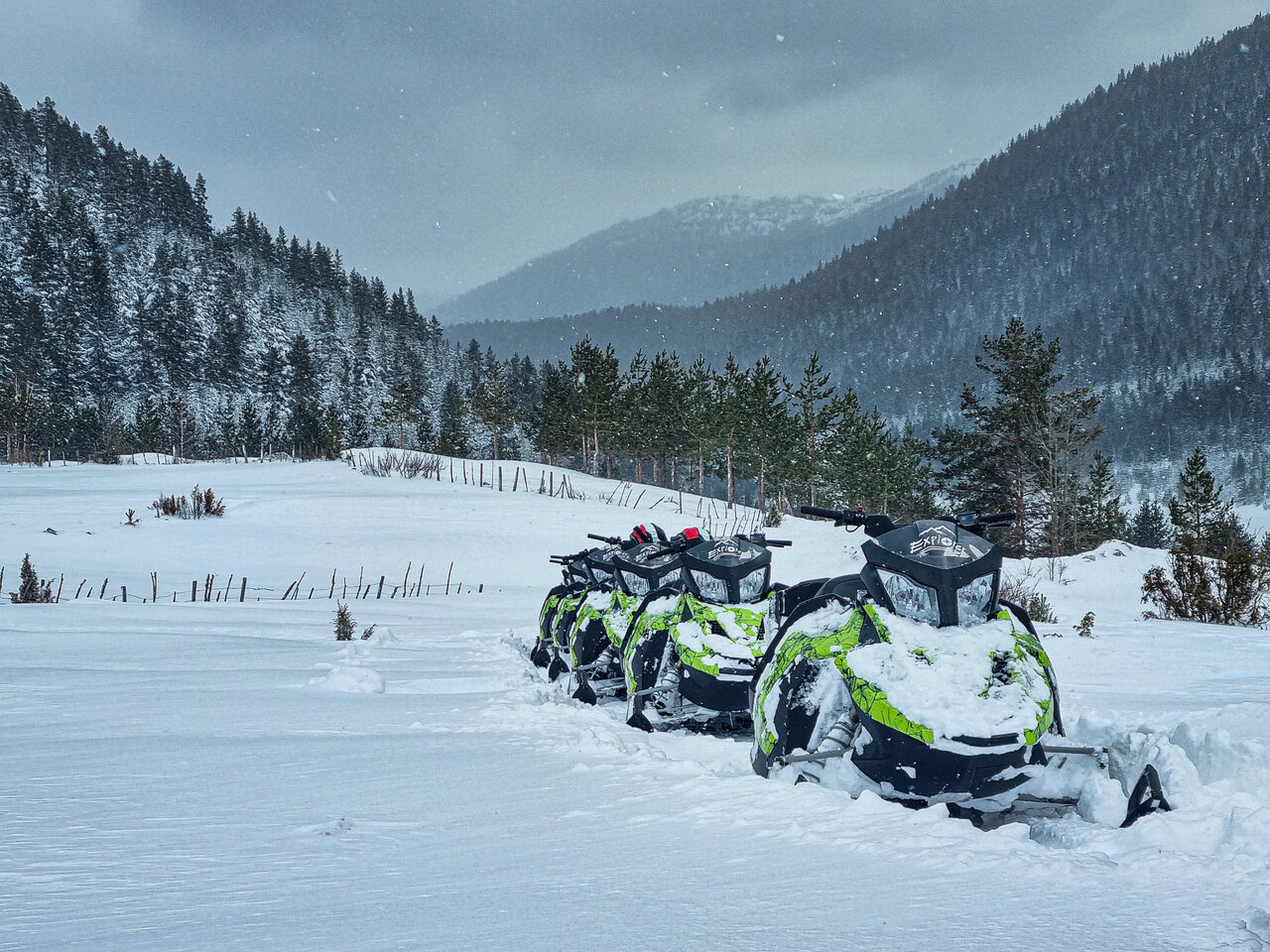 Schneemobile stehen in einem verschneiten Tal mit Kiefernwald und Bergen im fallenden Schnee