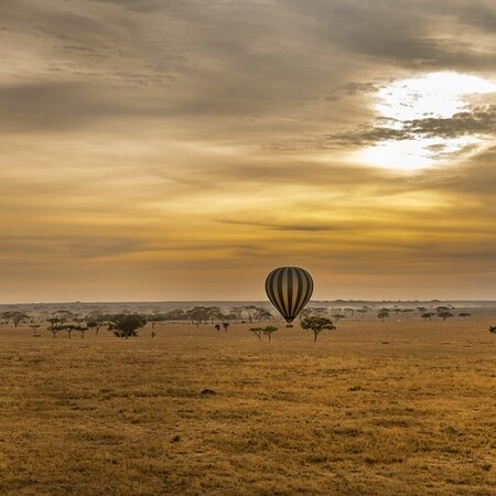 Serengeti beste Reisezeit: Wo die Herde in welchem Monat steht