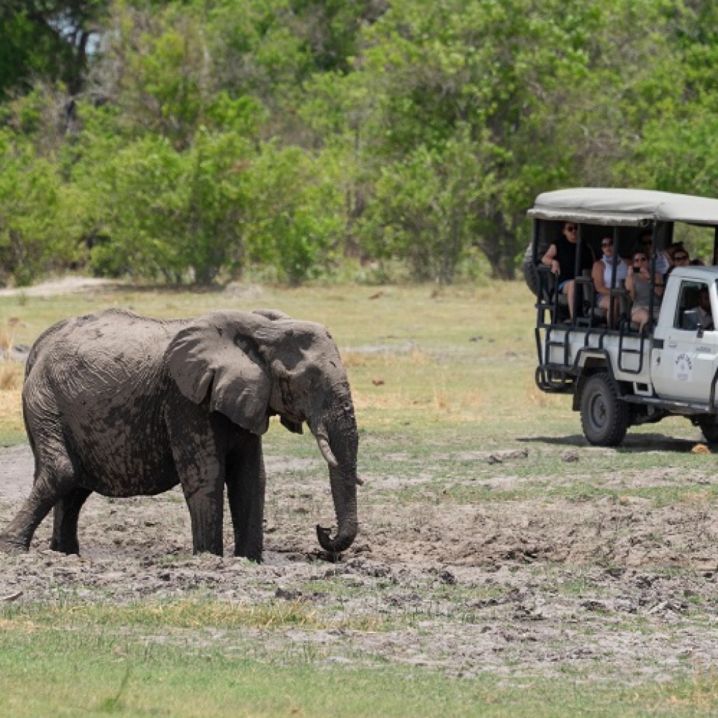 Spezial Afrika Safarireise mit dem Overland Truck