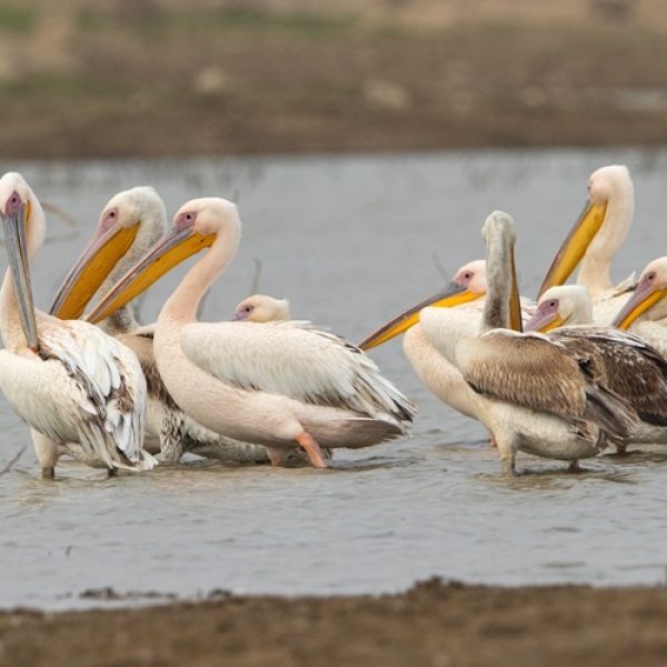 Erlebnis-Reisen Asien Udaipur Paläste Tempel