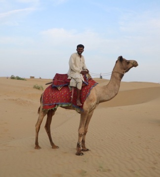 Royal Enfield Motorradreisen Indien Rajasthan Wüste