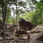 expedition thumb 3