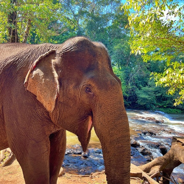 Offroad-Reisen Kambodscha Ratanakiri Edelsteine Schatz