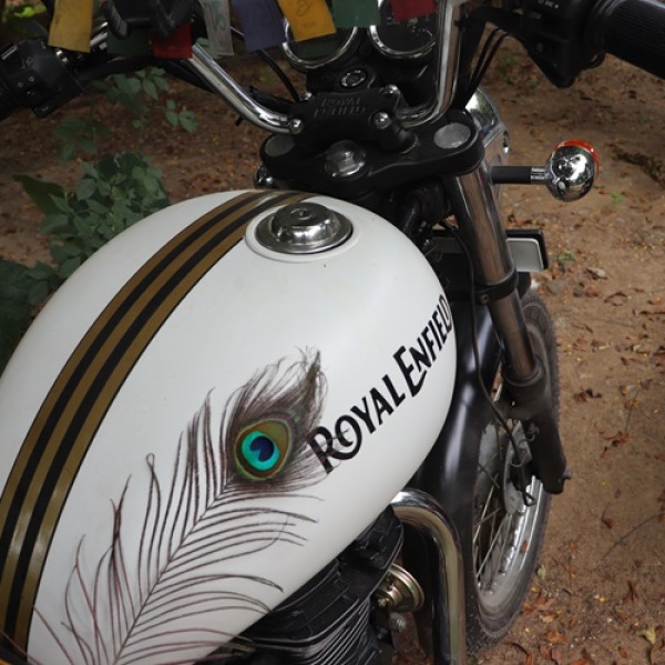 Motorradreisen Indien Bhavnagar Wildschutzgebiet Hirschbockantilope