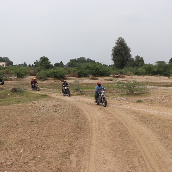 Motorradreisen Indien Jambughoda Wildnis Arten