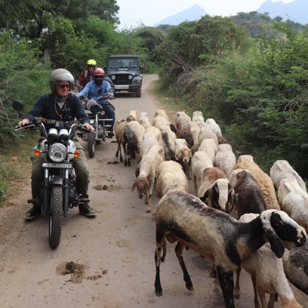 Motorradreisen Indien Gondal Junagarh Sasan