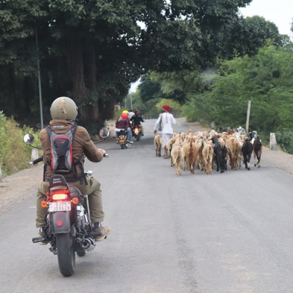 Motorradreisen Indien Diu Frühstück Tempel