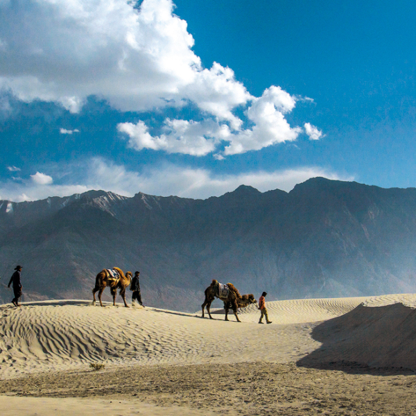 Offroad-Reisen Indien Delhi Amritsar Goldener